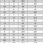 Baby Shoe Sizes Europe