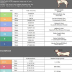 Big Medium Small Dog Breeds By Size Personality Dog Size Chart