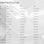 Goalies Plus Goalie Pad Sizing Guide Easy To Understand