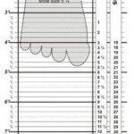 Toddler Shoe Size Chart Stride Rite Google Search Shoe Size Chart