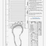 Uncommon Clarks Shoe Size Guide Soccer Size Chart Printable Shoe Size